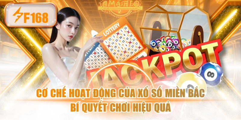 Cơ Chế Hoạt Động Của Xổ Số Miền Bắc & Bí Quyết Chơi Hiệu Quả