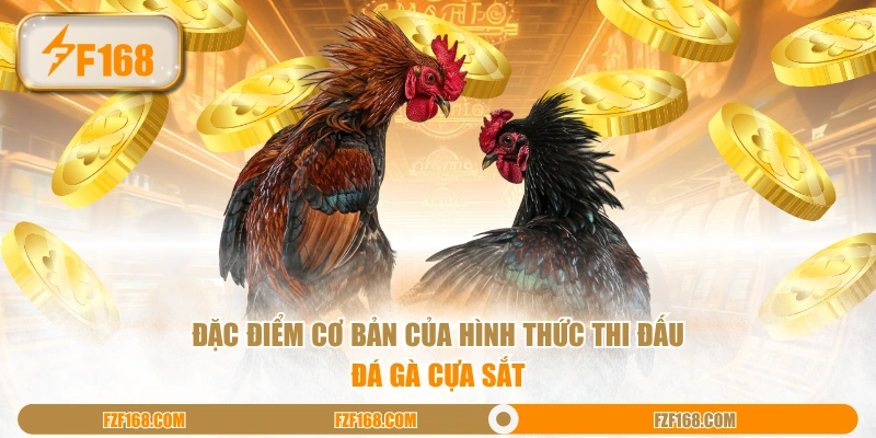 Đặc điểm cơ bản của hình thức thi đấu đá gà cựa sắt