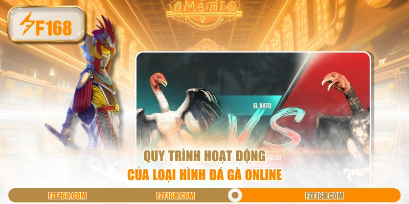 Quy trình hoạt động của loại hình đá gà online